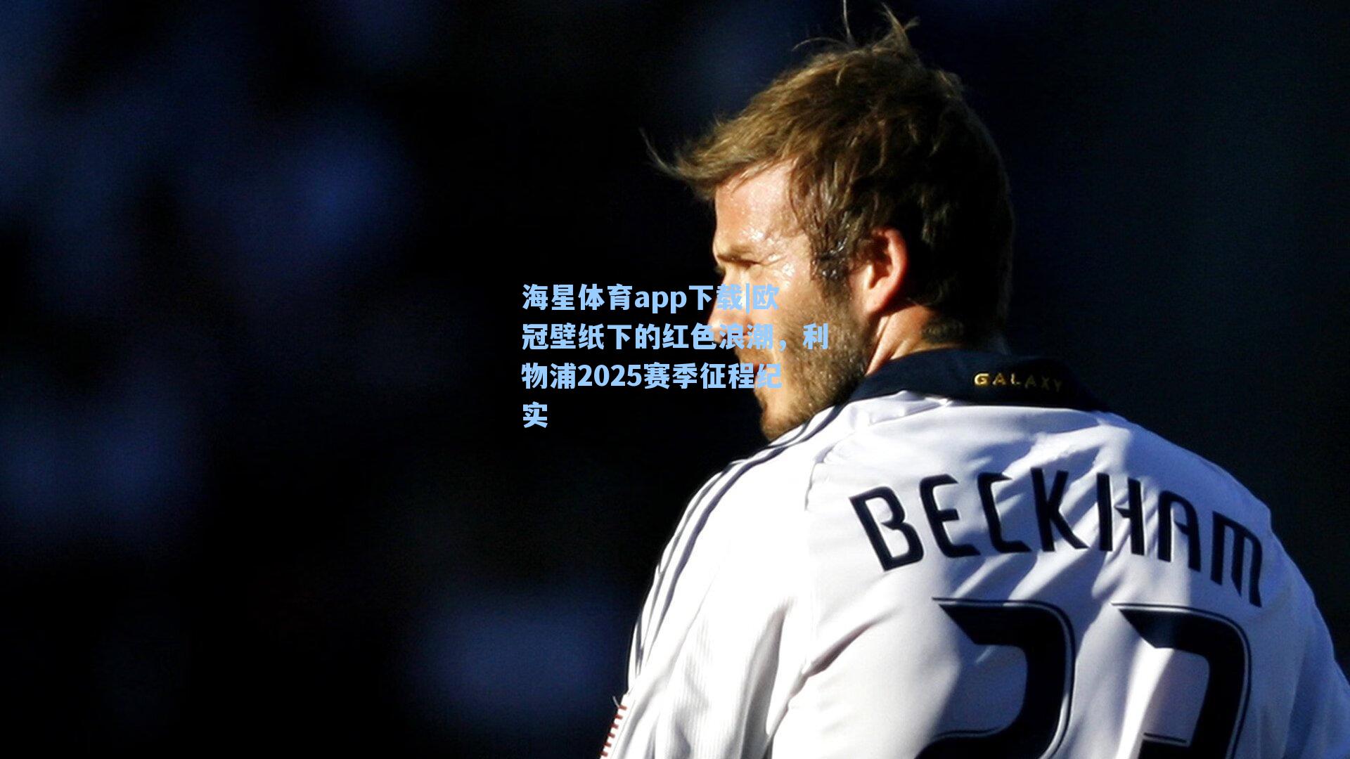 欧冠壁纸下的红色浪潮,利物浦2025赛季征程纪实